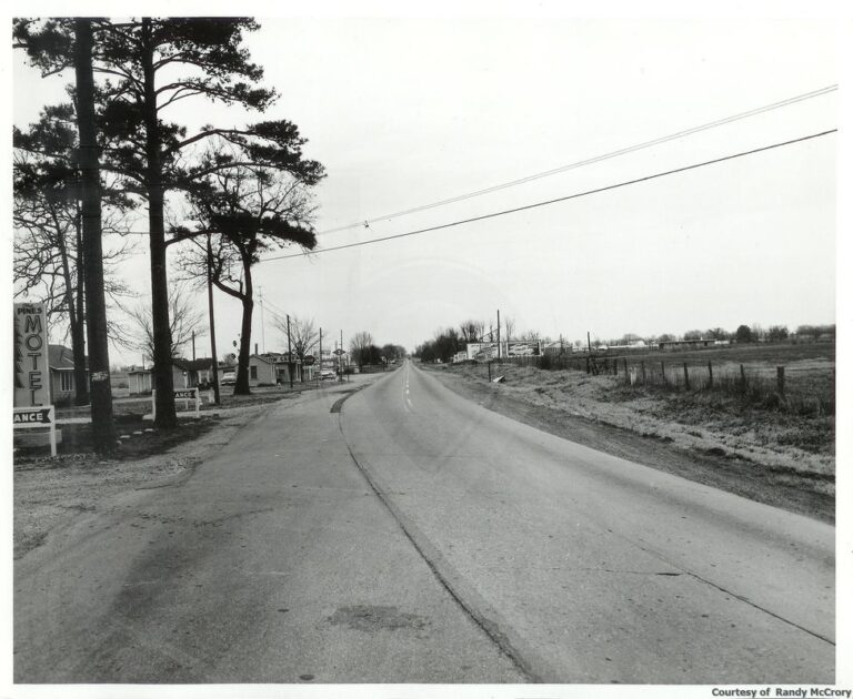 historical-pines-1-768x630